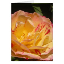 Yellow Rose Card