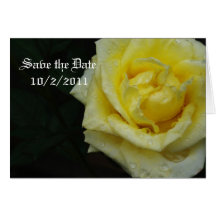 Yellow Rose Card