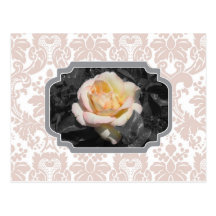 Yellow Rose Damask Notecard Post Card
