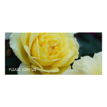 Yellow Rose DSC3677 Custom Announcements