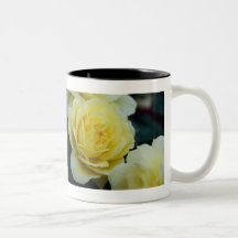 Yellow Rose DSC3677 Mugs