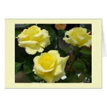 Yellow Rose Greeting Card