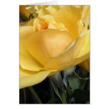 Yellow Rose Greeting Card