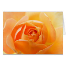 Yellow Rose Greeting Card