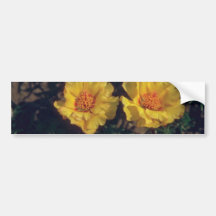 yellow Rose Moss (Portulaca Grandiflora) flowers Bumper Stickers