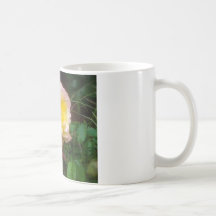 Yellow rose mug