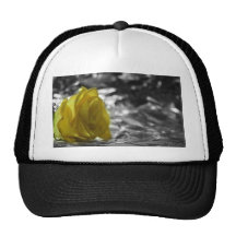 Yellow Rose On Left Side Silver Background Hats