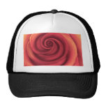 Yellow Rose Painting Art - Multi Hat