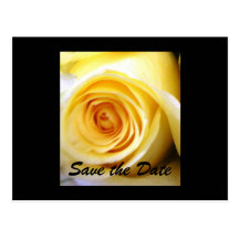 Yellow Rose Save the Date Postcard
