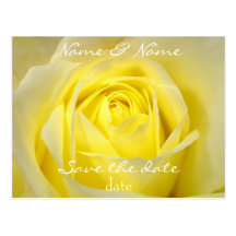 yellow rose save the date postcard