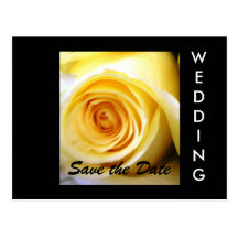 Yellow Rose Wedding Save the Date Postcard