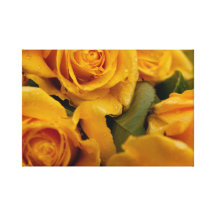 Yellow roses Cancvas print Stretched Canvas Print