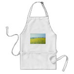 yellow Sunflower field in eastern Croatia flowers Apron