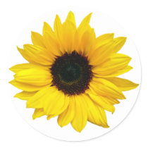 Yellow Sunflower Flower Envelope Seal Stickers stickers