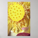 yellow Sunshine flowers Poster