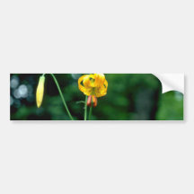 Yellow Tiger Lily flowers Bumper Stickers