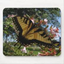 Yellow Tiger Swallowtail Butterfly Mousepad