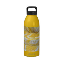 YELLOW WHITE BOA SNAKE SKIN TEXTURES REPTILES PATT DRINKING BOTTLES