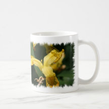 Yellow Wild Iris  Mug