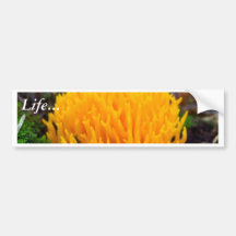Yellow Wild Mushroom Bumper Sticker