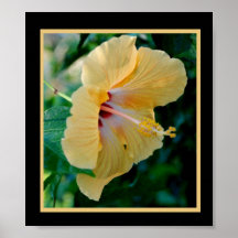 YellowHibiscus2 Posters