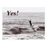 Yes! Joy of Success Post Cards