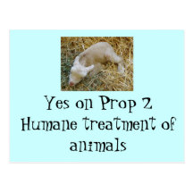 Yes on Proposition 2 - Postcard