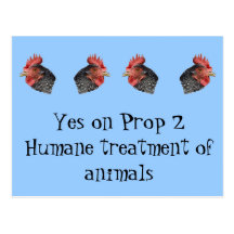 Yes on Proposition 2 - Postcard