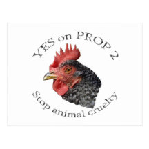Yes on Proposition 2 - Postcard