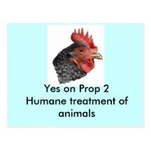 Yes on Proposition 2 - Postcard