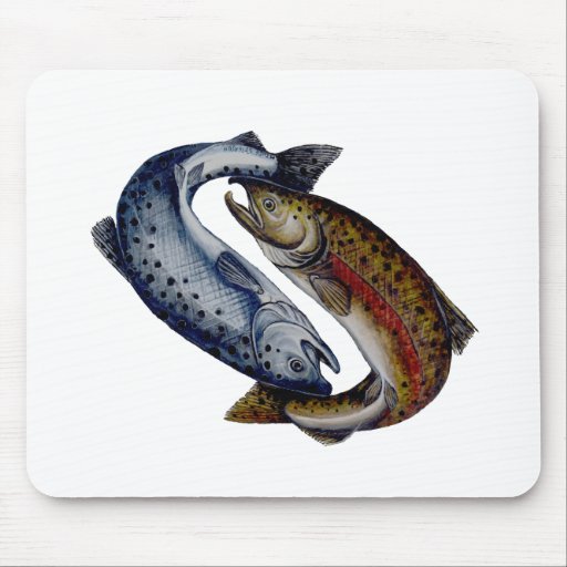 Yin Yang Salmon Fish Mouse Pad