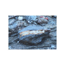 Yolly Bolly Ca Geology Rocks Earth History Stone Canvas Prints
