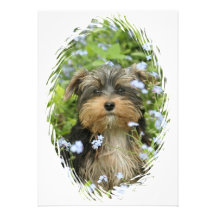 York Terrier Dog Invitation
