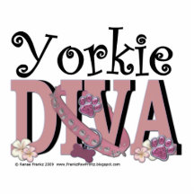 Yorkie DIVA Photo Cut Outs