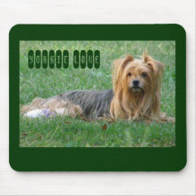 Yorkie Love.. Mouse Pads