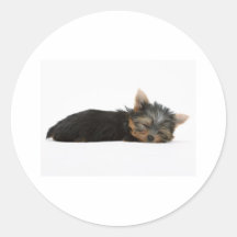 Yorkie Puppy Sleeping Stickers