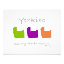 Yorkies Colour My World Personalized Announcement