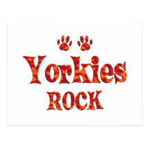 Yorkies Rock Post Card