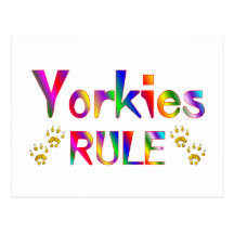 Yorkies Rule Post Cards