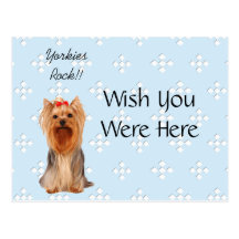 Yorkshire Terrier - Blue w/ White Diamond Design Post Card