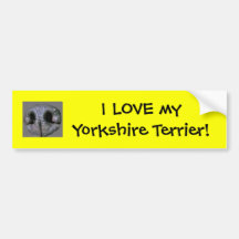 Yorkshire Terrier Bumper Sticker