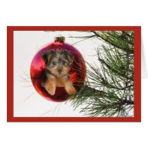 Yorkshire Terrier Christmas Card Ball Hanging