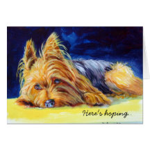 Yorkshire Terrier Greeting Card