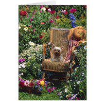 Yorkshire Terrier In The Garden Greeting Card