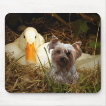 Yorkshire Terrier Mousepad Duck