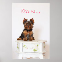 Yorkshire Terrier Poster