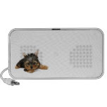 Yorkshire Terrier Puppy Speaker