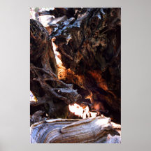 Yosemite Deer Poster