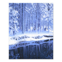YOSEMITE NATIONAL PARK, CALIFORNIA. USA. Fresh Photo Art