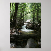 Yosemite stream print
